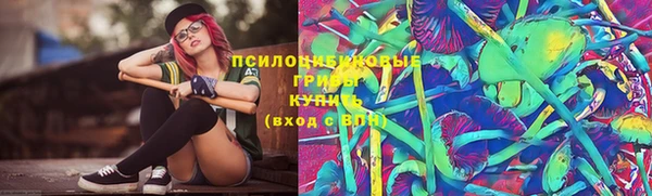 тгк Алексеевка