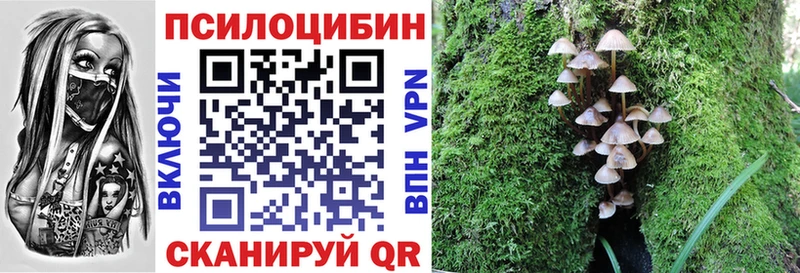 Галлюциногенные грибы GOLDEN TEACHER  где купить наркоту  Ессентукская 